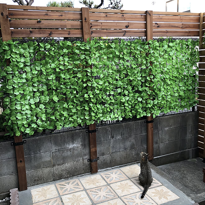 グリーンカーテンのネット お庭改造計画中 猫のためのお庭 猫のいる生活 部屋全体のインテリア実例 05 10 18 04 01 Roomclip ルームクリップ