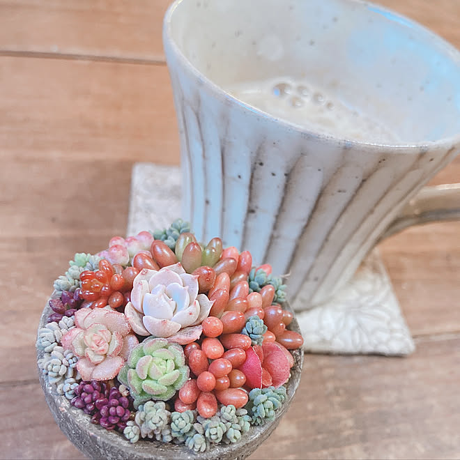 お茶セット リメ鉢 多肉植物寄せ植え イベント参加中 リビングのインテリア実例 21 01 27 22 36 17 Roomclip ルームクリップ