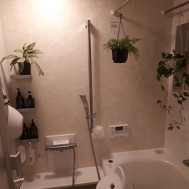 バス トイレ S字フック 観葉植物 19 9 10 Totoサザナ などのインテリア実例 19 09 10 23 46 50 Roomclip ルームクリップ バス トイレ S字フック 観葉植物 19 9 10 Totoサザナ などのインテリア実例 19 09 10 23 46 50 Roomclip ルームクリップ