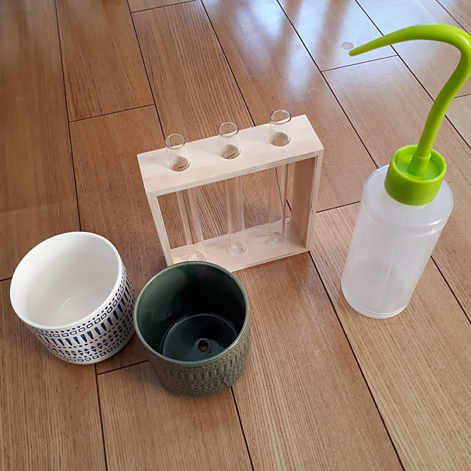 壁/天井/Daiso/100%手作りの庭/花のある暮らし/花が好き...などのインテリア実例 - 2019-12-03 14:47:20
