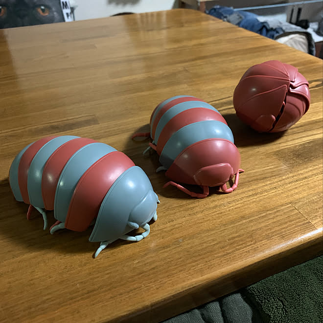 最高 Ever 部屋 に ダンゴムシ 画像ブログ 最高 Ever 部屋 に ダンゴムシ 画像ブログ