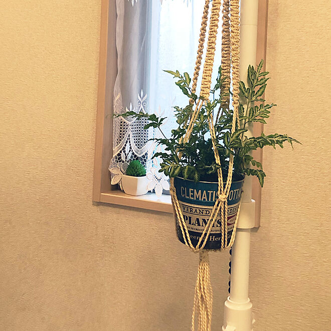 観葉植物 セリア カインズホーム プラントハンガー 壁 天井のインテリア実例 07 01 21 28 06 Roomclip ルームクリップ
