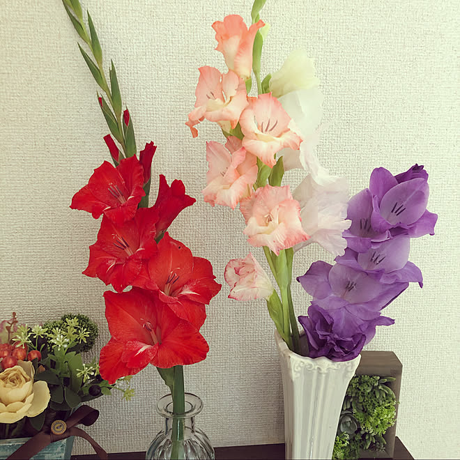 ガーデン雑貨 グラジオラス 花のある暮らし グラジオラスの花 切り花にして などのインテリア実例 21 07 12 13 22 43 Roomclip ルームクリップ