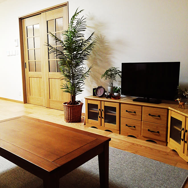 部屋全体/観葉植物/北欧/雑貨/ニトリのインテリア実例 - 2019-11-14 17:53:28