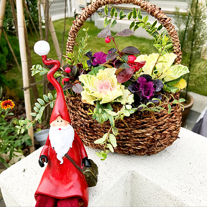 玄関 入り口 チェッカーベリー 葉牡丹 寄せ植え クリスマス などのインテリア実例 17 11 21 07 30 36 Roomclip ルームクリップ