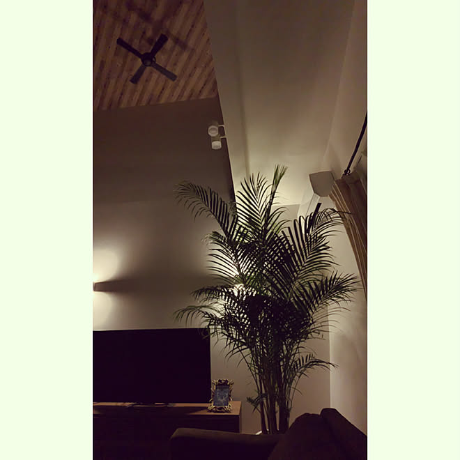 吹き抜け 間接照明 アレカヤシ カフェ風インテリア 夜のリビング などのインテリア実例 19 07 01 22 11 12 Roomclip ルームクリップ