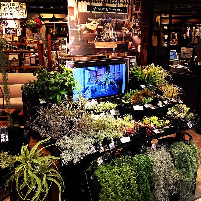 いなざうるす屋さんニコアンド いなざうるす屋さん Nico And ヨドバシカメラ京都のインテリア実例 16 04 05 21 36 54 Roomclip ルームクリップ