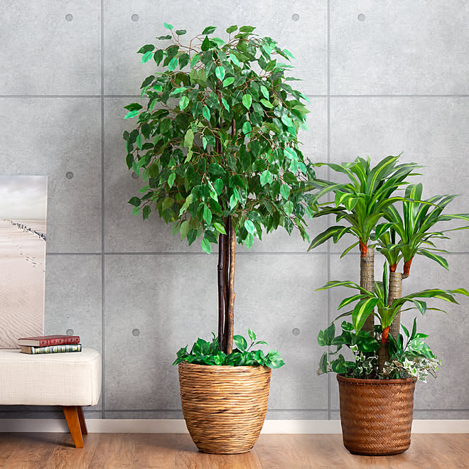 カフェ風 フェイクグリーン インテリアグリーン インテリア 観葉植物のある暮らし などのインテリア実例 21 08 18 16 05 21 Roomclip ルームクリップ