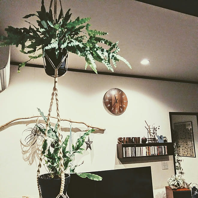 壁 天井 フレボディウム オーレウム ブルースター ハンプラ 緑のある暮らし マクラメハンギング などのインテリア実例 17 09 16 55 56 Roomclip ルームクリップ 壁 天井 フレボディウム オーレウム ブルースター ハンプラ 緑のある暮らし マクラメハンギング などのインテリア実例 17 09 16 55 56 Roomclip ルームクリップ