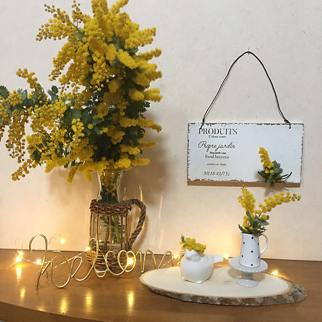 ミルクピッチャー ミモザの日 セリア フェアリーライト フラワーベース などのインテリア実例 03 08 16 42 22 Roomclip ルームクリップ