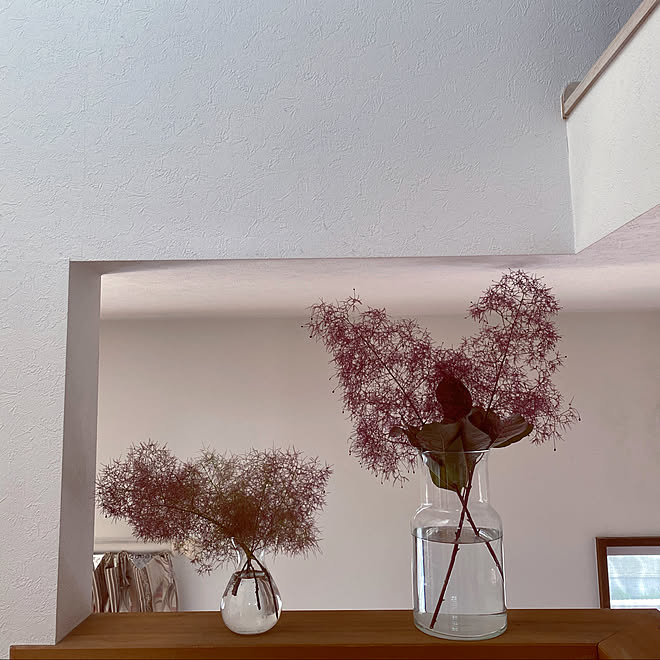 フラワーベース 無垢の家 スモークツリー 棚のインテリア実例 05 28 07 51 37 Roomclip ルームクリップ フラワーベース 無垢の家 スモークツリー 棚のインテリア実例 05 28 07 51 37 Roomclip ルームクリップ