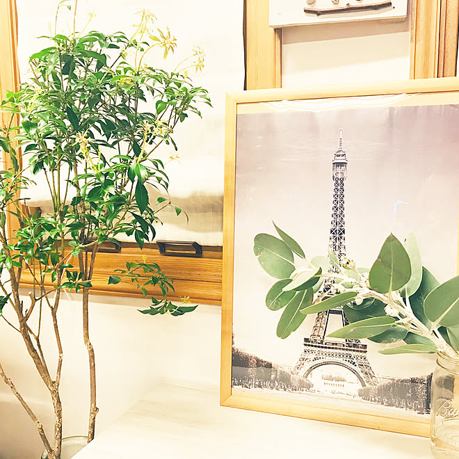 アセビの枝 ナチュラル ユーカリ 観葉植物 リビングのインテリア実例 04 02 21 45 59 Roomclip ルームクリップ アセビの枝 ナチュラル ユーカリ 観葉植物 リビングのインテリア実例 04 02 21 45 59 Roomclip ルームクリップ