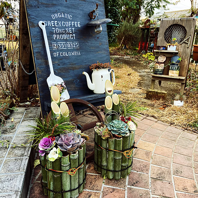 多肉植物寄せ植え 多肉植物 ネルソル 多肉門松 お正月インテリア などのインテリア実例 22 01 01 22 26 21 Roomclip ルームクリップ