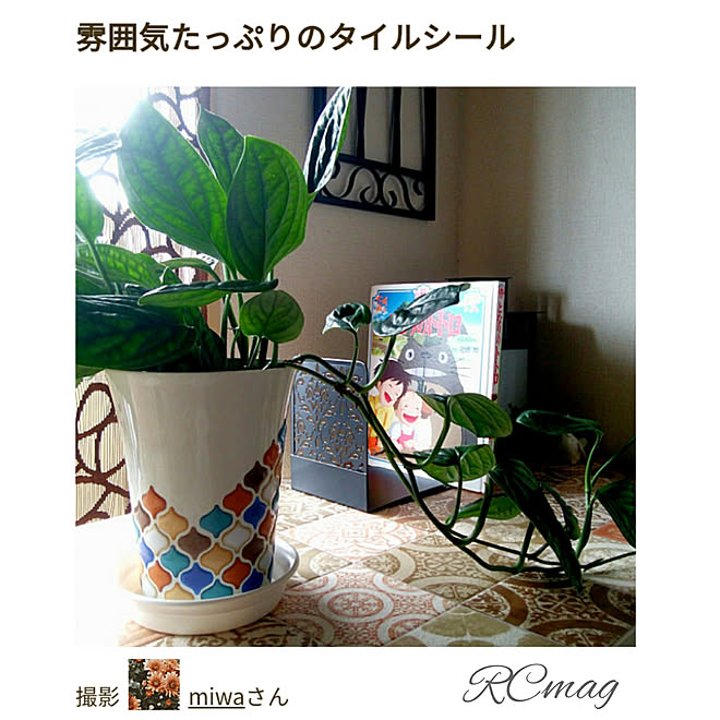 ベッド周り セリア タイルシール モロッカン柄 鉢リメイク モンステラ ジェイドシャトルコック などのインテリア実例 09 08 08 48 10 Roomclip ルームクリップ