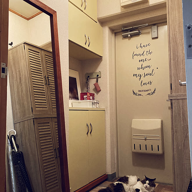 玄関diy 壁紙diy 猫のいる暮らし 団地賃貸 100均 などのインテリア実例 21 11 21 18 53 36 Roomclip ルームクリップ