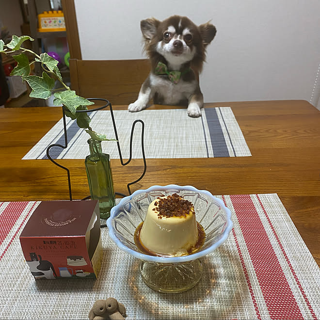 花瓶 プリン 大分見上げ 夏のテーブルコーディネート 暮らしを楽しむ などのインテリア実例 21 09 10 14 07 36 Roomclip ルームクリップ