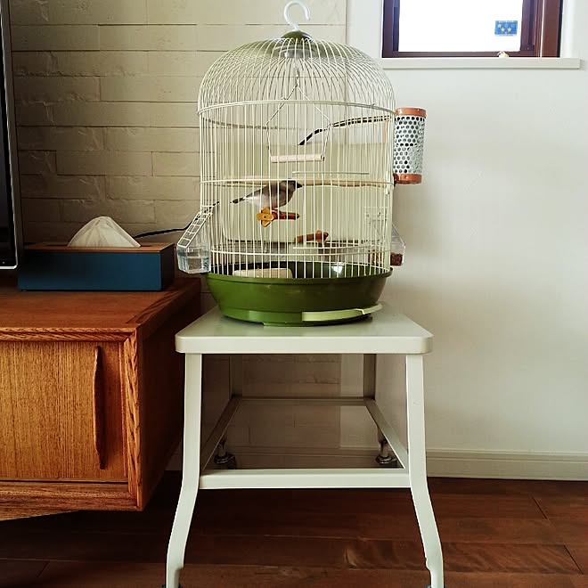 リビング 北欧 文鳥 鳥かご Essenのインテリア実例 14 12 30 10 39 27 Roomclip ルームクリップ リビング 北欧 文鳥 鳥かご Essenのインテリア実例 14 12 30 10 39 27 Roomclip ルームクリップ