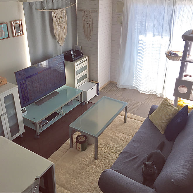 10畳リビングダイニング 同化した猫 レイアウト マクラメタペストリー ラム などのインテリア実例 21 02 05 22 28 47 Roomclip ルームクリップ