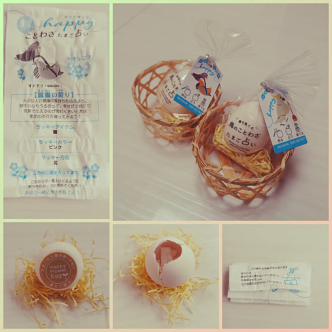 部屋全体 ガーデン雑貨 ママイクコ 卵を割って 中から出てくる などのインテリア実例 22 04 23 11 41 32 Roomclip ルームクリップ