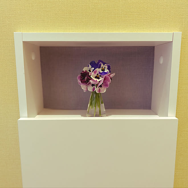 黄色の壁紙 ビーカーの花瓶 花瓶 フラワーベース ディスプレイコーナー などのインテリア実例 22 04 18 13 16 50 Roomclip ルームクリップ