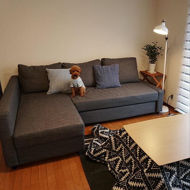 IKEAソファ/観葉植物/IKEA/北欧/中古住宅...などのインテリア実例 - 2019-01-28 23:22:55