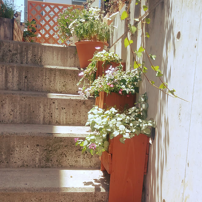 玄関 入り口 外階段 手作りプランター 花のある暮らし みどりのある暮らしのインテリア実例 18 05 22 11 56 05 Roomclip ルームクリップ