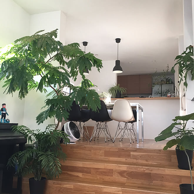 壁/天井/仮面ライダー/テーブルヤシ/三階建て/RCでの出会いに感謝です♡...などのインテリア実例 - 2017-09-19 16:35:31