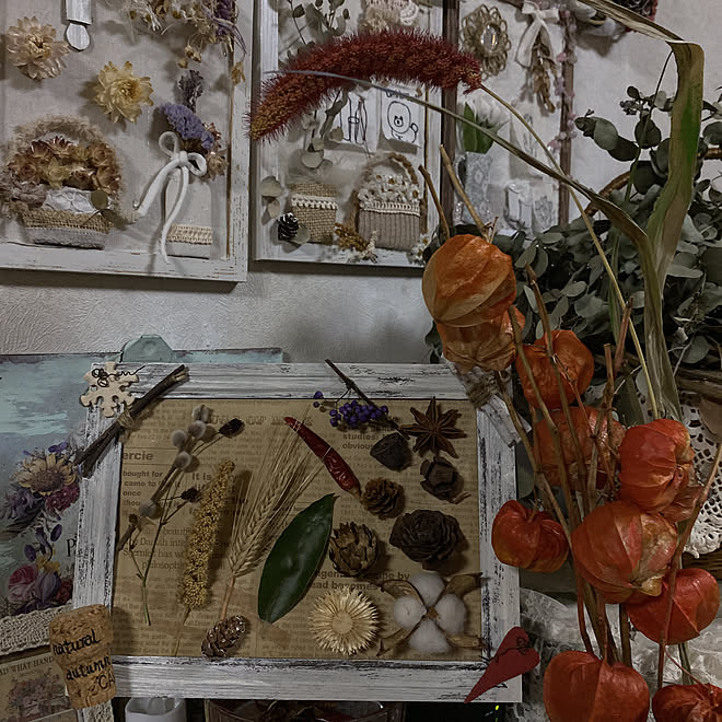 フォトフレーム もち粟ドライ ユーカリドライ ほおずきドライ 木の実 などのインテリア実例 21 09 26 21 11 08 Roomclip ルームクリップ