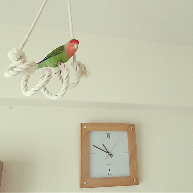 壁 天井 ホームセンター ロープブランコ 時計 Diy などのインテリア実例 18 10 21 12 04 55 Roomclip ルームクリップ