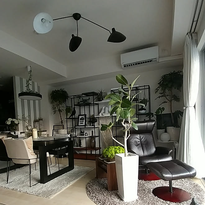部屋全体/観葉植物のある暮らし/黒白灰色が好き！/夫婦二人暮らし/アルモニア棚2つ&hellip;などのインテリア実例 20180716 18