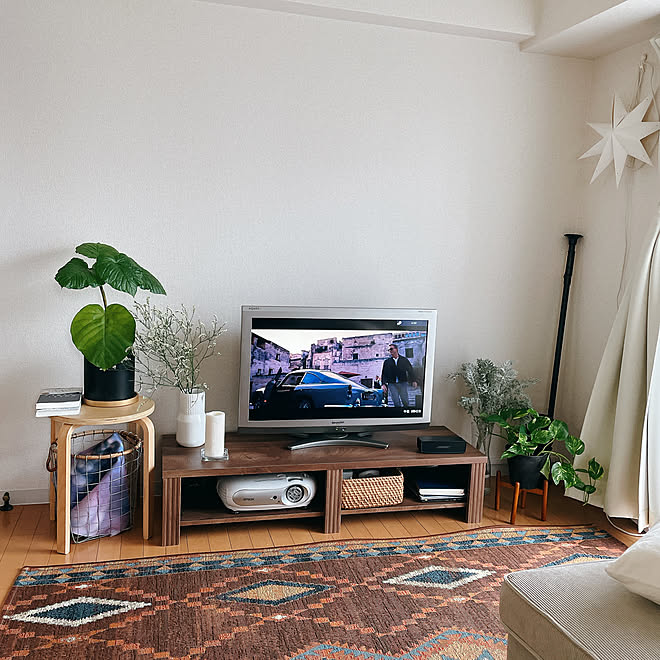 ウンベラータ スターライト Noceテレビ台 観葉植物 一人暮らし などのインテリア実例 22 07 09 16 54 47 Roomclip ルームクリップ