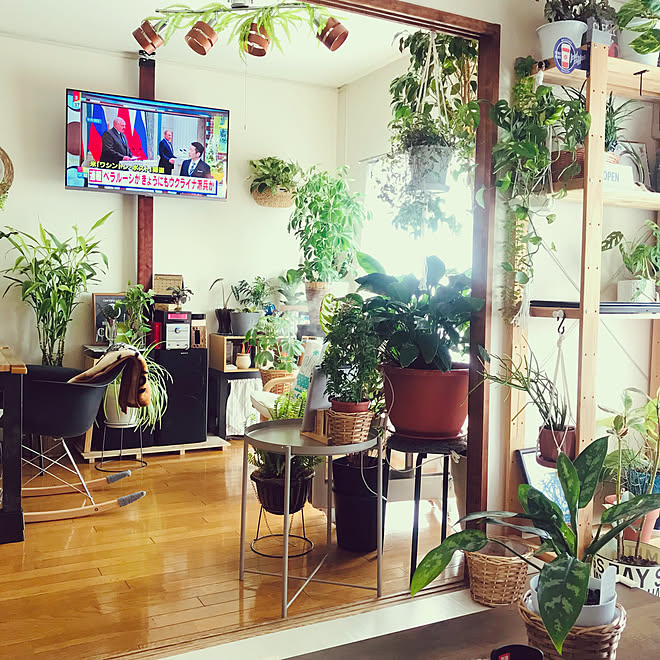 ボタニカルカフェスタイル ボタニカルインテリア 引っ越しました 家が落ち着く場所 癒し などのインテリア実例 22 02 28 17 02 36 Roomclip ルームクリップ