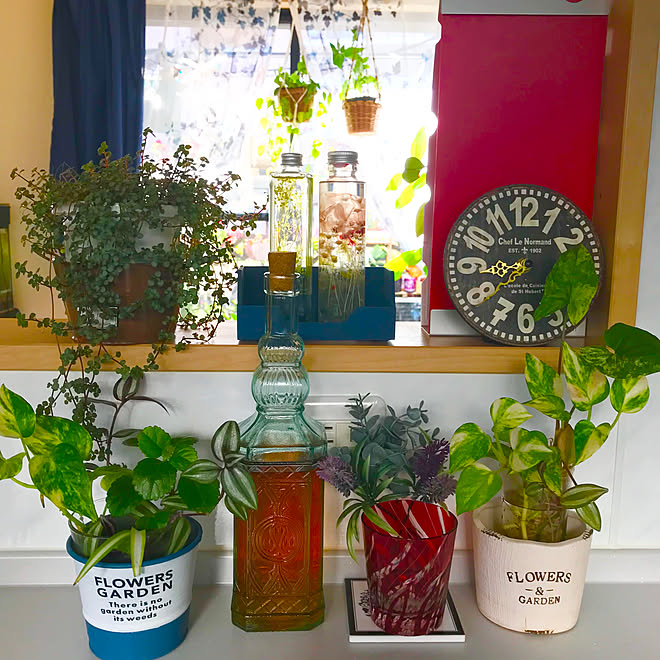 キッチン ウイスキーの瓶 花と緑のある暮らし 観葉植物大好き フェイクグリーン などのインテリア実例 18 11 06 06 37 02 Roomclip ルームクリップ