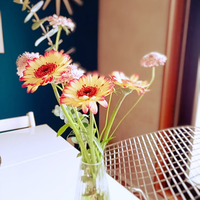 机 ガーベラ 花がある生活 花瓶 ターコイズブルーの壁 などのインテリア実例 12 07 08 28 35 Roomclip ルームクリップ