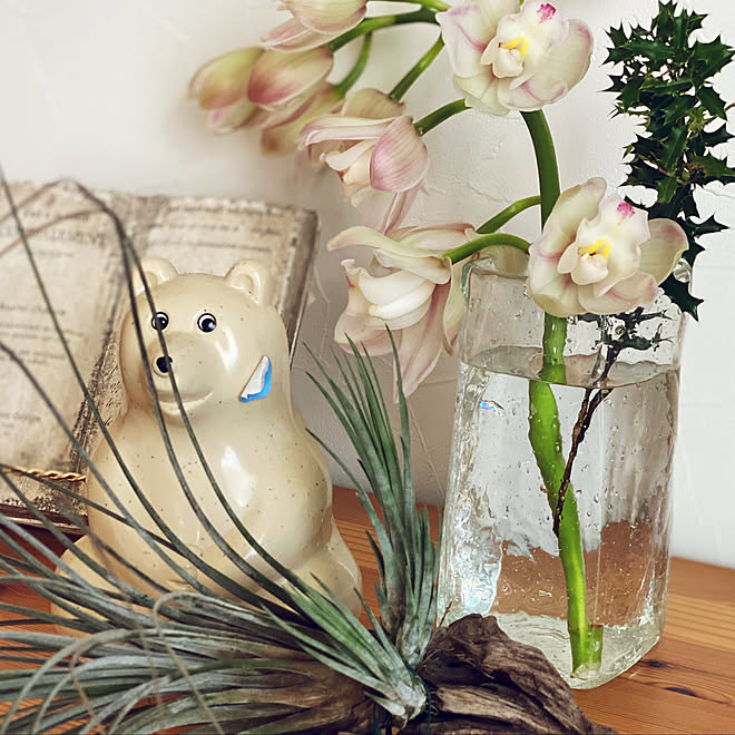 オブジェ 花のある暮らし しろくま貯金箱 シンビジウム エアプランツ などのインテリア実例 02 08 08 22 31 Roomclip ルームクリップ