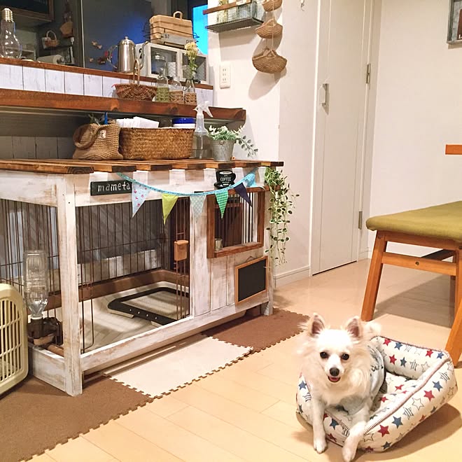 部屋全体 チワワ 犬小屋diy カフェ風 ナチュラル などのインテリア実例 17 05 06 18 27 04 Roomclip ルームクリップ