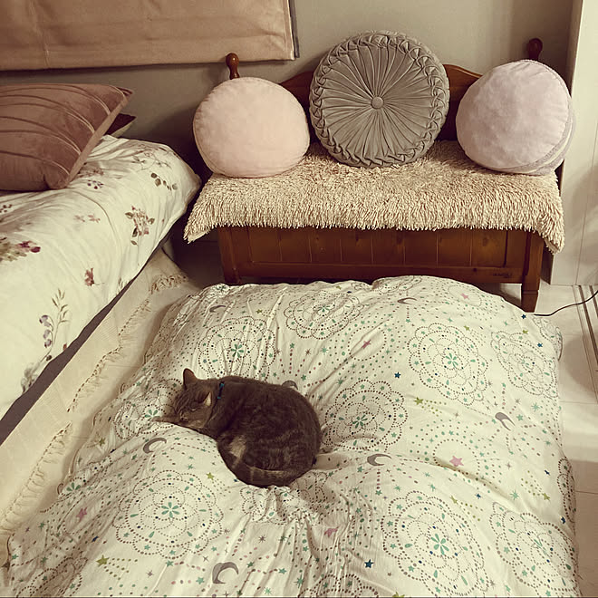 ニトリのクッション ニトリの布団カバーセット ニトリ Ingism フィット などのインテリア実例 22 03 15 22 53 06 Roomclip ルームクリップ