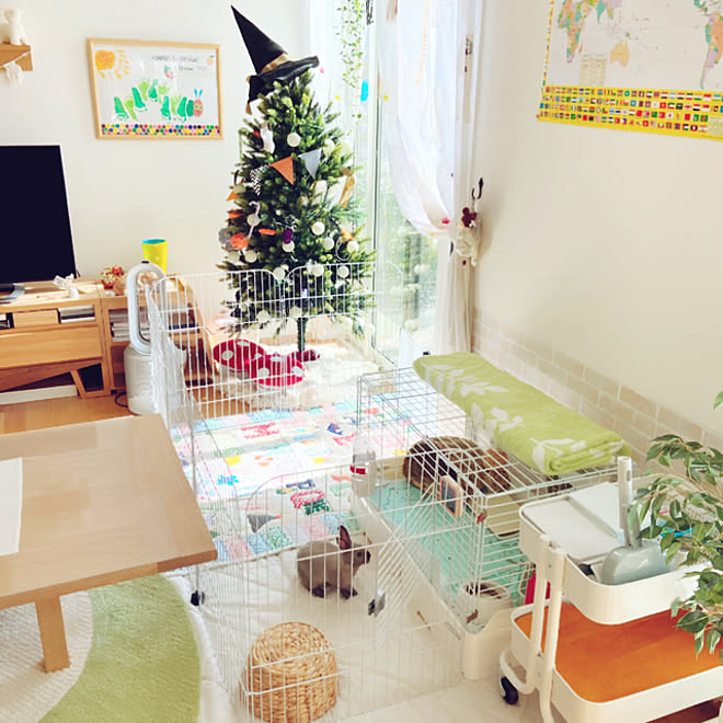 ネザーランドドワーフ ラビットサークル うさぎ飼ってます 男の子2人 いつもありがとうございます などのインテリア実例 10 29 10 44 14 Roomclip ルームクリップ