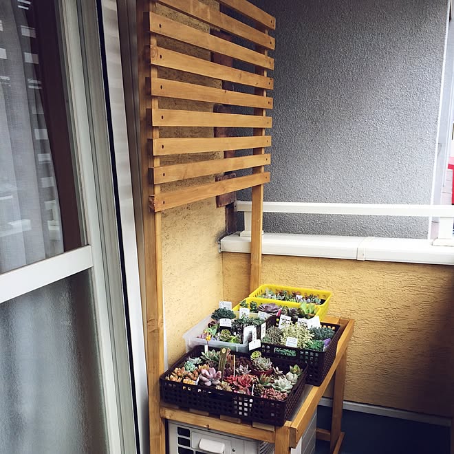 棚/室外機カバー製作中/室外機カバー/室外機カバーDIY/ベランダ多肉&hellip;などのインテリア実例 20160413 104900