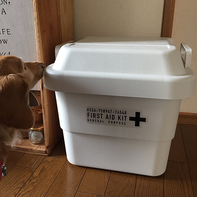 防災用品 ウォールステッカー 無印良品 Muji 頑丈収納ボックス などのインテリア実例 18 09 27 18 15 50 Roomclip ルームクリップ 防災用品 ウォールステッカー 無印良品 Muji 頑丈収納ボックス などのインテリア実例 18 09 27 18 15 50 Roomclip ルームクリップ