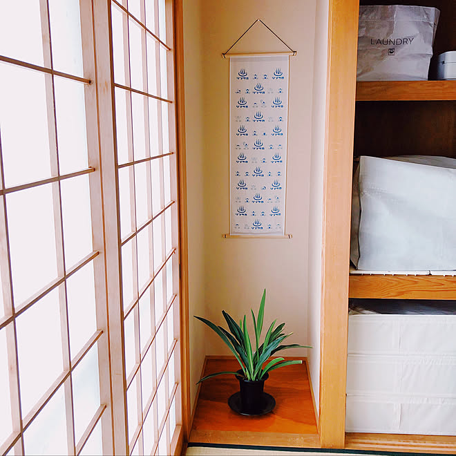 和室 床の間 観葉植物 別府タオル 別府温泉 などのインテリア実例 09 04 08 07 12 Roomclip ルームクリップ 和室 床の間 観葉植物 別府タオル 別府温泉 などのインテリア実例 09 04 08 07 12 Roomclip ルームクリップ