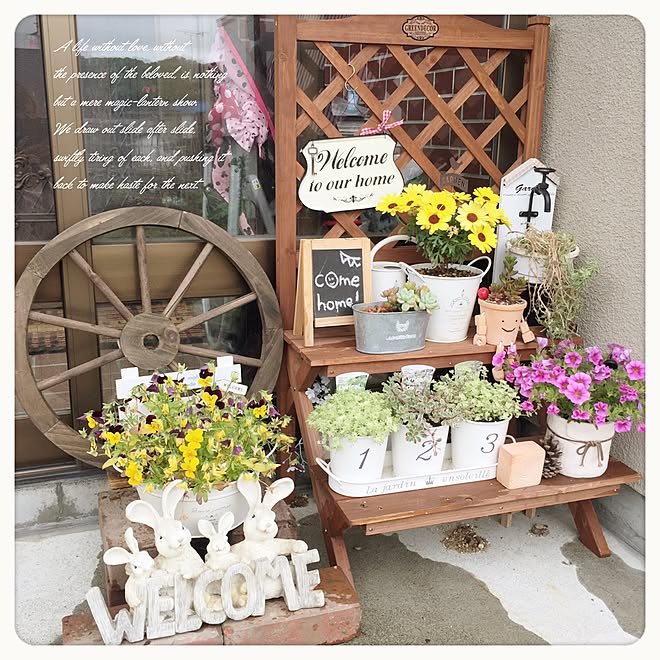 玄関 入り口 多肉植物 ホーマック 木製車輪 ミリオンベル などのインテリア実例 16 06 17 50 24 Roomclip ルームクリップ 玄関 入り口 多肉植物 ホーマック 木製車輪 ミリオンベル などのインテリア実例 16 06 17 50 24 Roomclip ルームクリップ