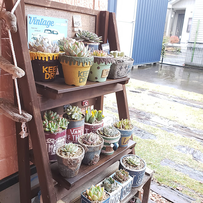 玄関/入り口/狭小マイホーム/建て売り一戸建て/狭小住宅/インスタ→kobaaya21...などのインテリア実例 - 2019-11-22 13:10:17