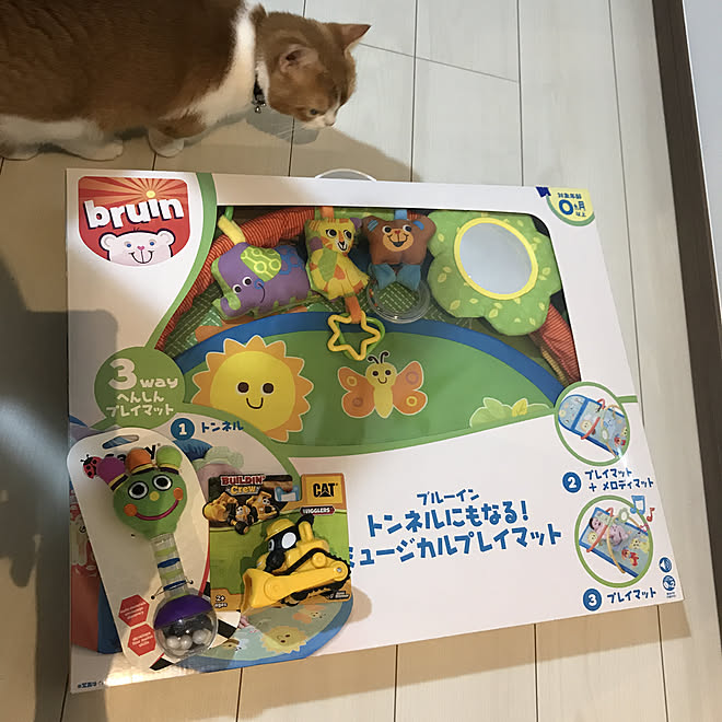 ガラガラ プレイマット 赤ちゃんのいる暮らし 赤ちゃんと猫 マンチカン 短足 などのインテリア実例 19 10 13 23 51 31 Roomclip ルームクリップ