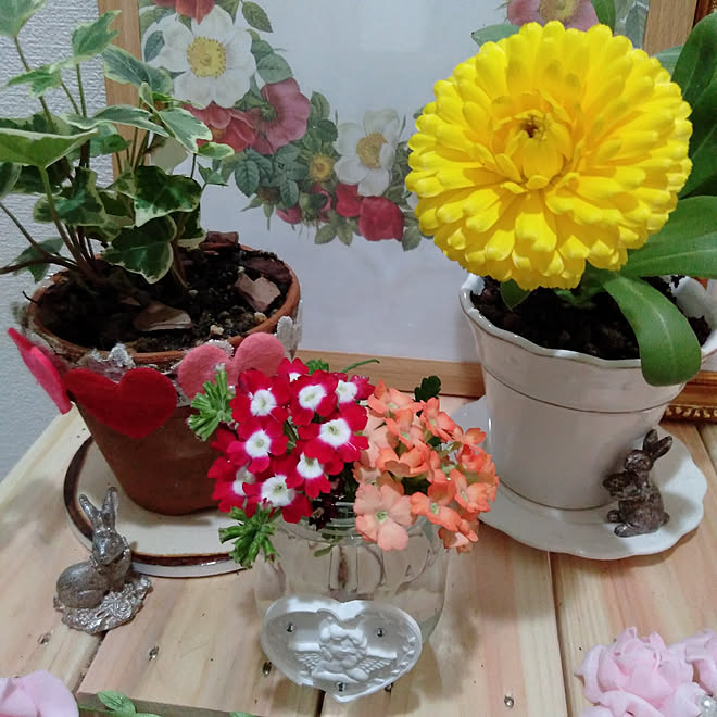 玄関 入り口 お花を飾る キンセンカ バーベナ アイビー などのインテリア実例 21 04 07 08 13 19 Roomclip ルームクリップ