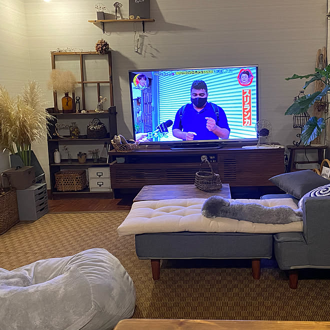 ススキかパンパスグラスか ソファー クッション 夏のスペシャルクーポン グレー好き いいね ありがとうございます などのインテリア実例 21 09 07 09 01 08 Roomclip ルームクリップ