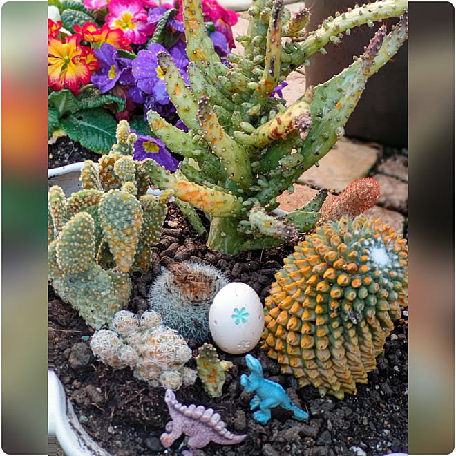 玄関 入り口 セリア お花 ダイソー 100均 などのインテリア実例 22 03 03 10 34 Roomclip ルームクリップ