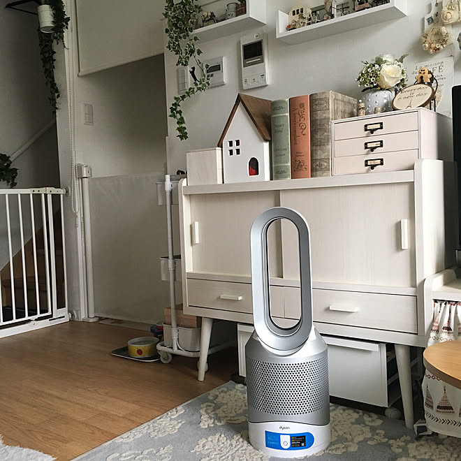 ダイソン ピュア ホット アンド クール 2019