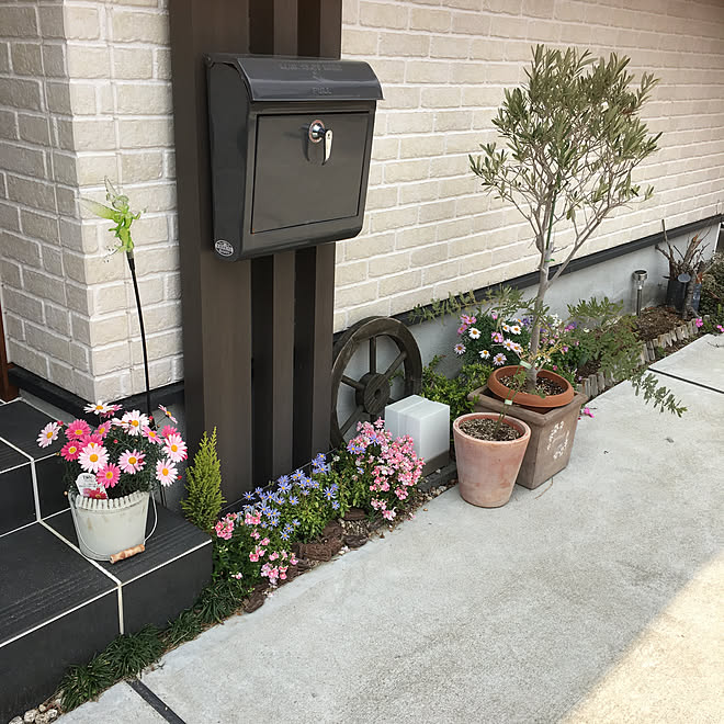 最新のhd門柱花 最新のhd門柱花