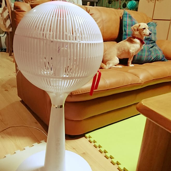 エアボール360 部屋全体 扇風機 ビズライフのインテリア実例 16 08 13 22 31 04 Roomclip ルームクリップ エアボール360 部屋全体 扇風機 ビズライフのインテリア実例 16 08 13 22 31 04 Roomclip ルームクリップ